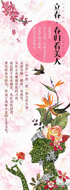 Oaima采集到创意