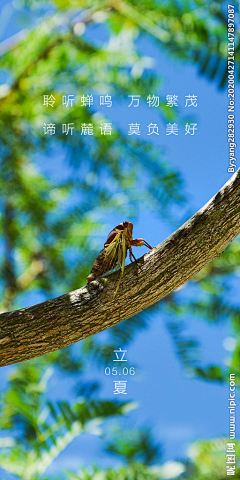 哪吒少女又离开地产了采集到立夏节气