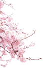 图层4