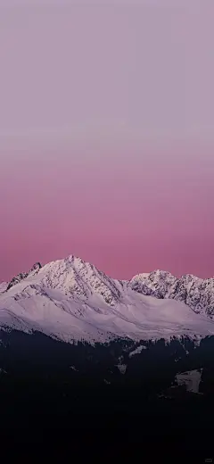 粉紫调主题壁纸合集 - 小红书