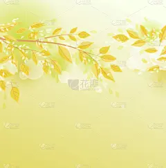 枝,叶子,九月,华丽的,十月,壁纸,公园,模板,装饰,问候