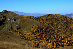 kengi2008采集到塔尔寺黄草梁赏秋