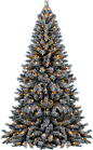 xmas_tree_png_by_dbszabo1-d4ft2r4