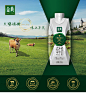伊利金典娟姗奶高端牛奶整箱纯奶250ml*12盒整箱新老包装交替发货-tmall.com天猫