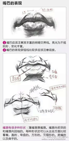 白鹿猿采集到素描人像结构