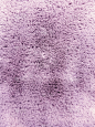 毛茸茸的浅紫色质地。