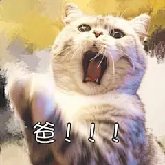 表情包/缺钱