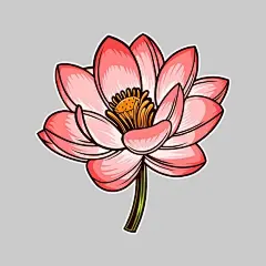 莲花插画矢量图设计素材