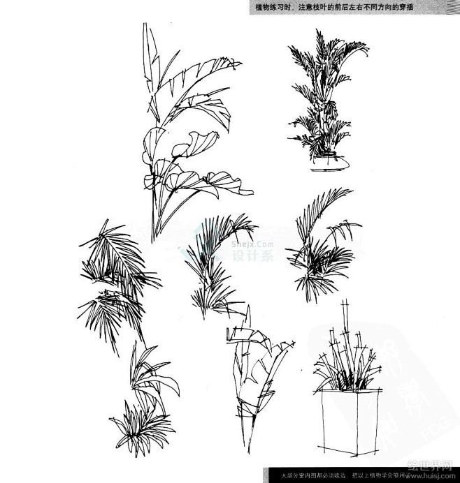 【新提醒】手绘学习方案、 手绘植物单体线...