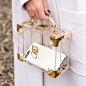 Lion Mini Trunk Clutch in Transparent Acrylic with Gold Hardware from Aspinal of London