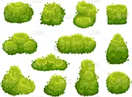 植物群,灌木,绿色,园林,景观设计,环境,模板,草,植物,夏天