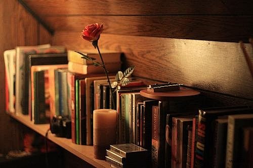 – 9009美图分享 - 分享唯美图片,小清新图片,唯美的句子,唯美意境