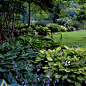 Garden bench behind bed of hosta (Hosta), Boston, MA, USA, Landscape designer Alan Haskel_创意图片