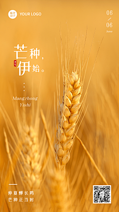凉夜看星采集到节日