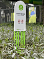 2024.2.3丽都公园导视完工记录 - 小红书