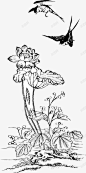燕子高清素材 椋炵繑鐨勭嚂瀛 鑾茶姳 元素 免抠png 设计图片 免费下载 页面网页 平面电商 创意素材