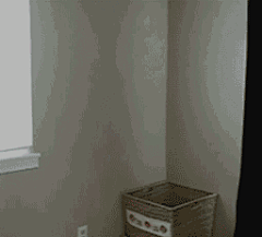 烦人哲学采集到GIF