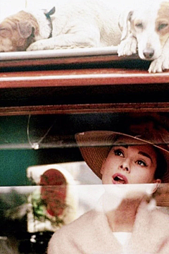 熊默默采集到Audrey Hepburn