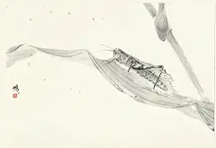 每日国画灵感分享-206｜黑白国画别有韵味！ - 小红书