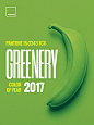 Top Creative Work On Behance : Showcase and discover creative work on the world's leading online platform for creative industries.