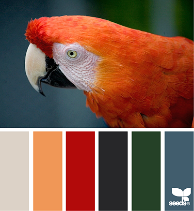 feathered palette