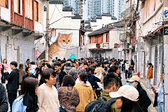 市场航站楼采集到商场营销活动