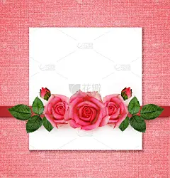 玫瑰插花及相框