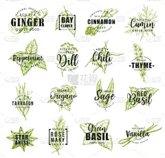 香料,草图,标签,文字,草本,叶子,生物学,农业,清新,烹调