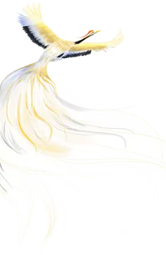 凤凰插画素材