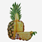 菠萝手绘逼真画素材图片免抠素材_新图网 https://ixintu.com 热带水果 菠萝 切开的菠萝 水彩画