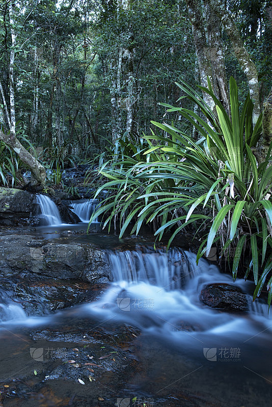 Springbrook国家公园