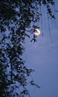 花月不曾闲，
莫放相思醒