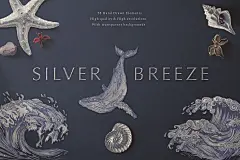 %name 银色海洋生物手绘元素插画合集