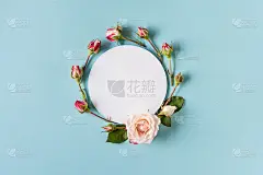 蓝色背景的粉红色玫瑰花环。