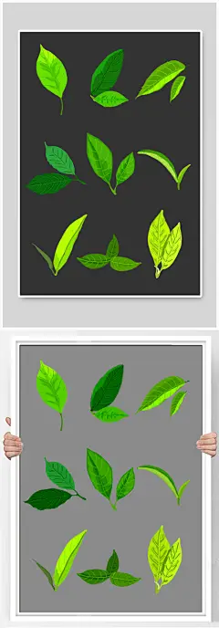 清新矢量绿茶茶叶插画元素