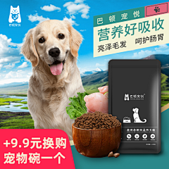 用户s96TKBgp采集到宠物banner及主图
