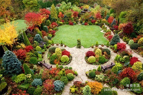 魔幻雕塑 美丽花园

 
  
利用植物...
