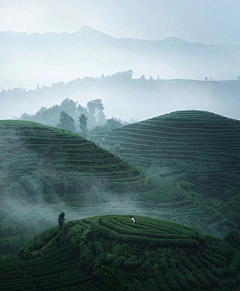 钟慕樱采集到厚涂(场景)