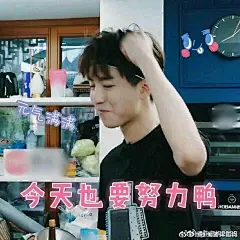 王俊凯表情包