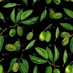 橄榄无缝图案与橄榄枝和水果为意大利美食设计或特级初榨油食品或化妆品包装包装。手绘插图在水彩。