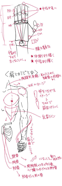 Dr悠然采集到手臂