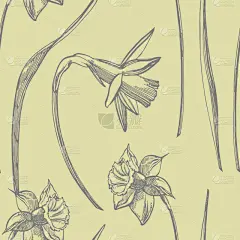 水仙花,绘画插图,手,式样,植物学,黑白图片,花,收集,绘制,画画