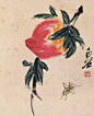 齐白石画的蝈蝈和蝗虫，不佩服不行！