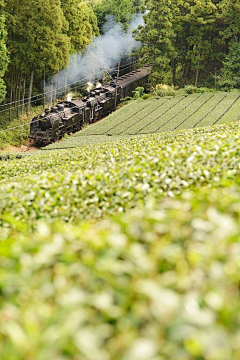 翠平肖采集到最好的时光在路上