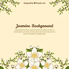 (源站可下源文件)可爱的茉莉花背景与手绘风格/Lovely jasmine background with hand drawn style