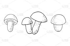 森林蘑菇集素描手绘涂鸦。图标，卡片，海报，矢量，单色。牛肝菌属菌类。自然,食物成分。