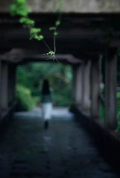 彼岸时光纪采集到女性