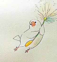 今日治愈系小插画 | 可爱的小白鸽 : 捕获一只软萌小可爱