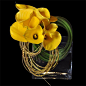 Calla Lilies/Manipulated Willow Arrangement, via flowers of the world: 