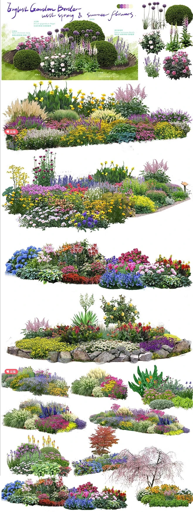 花镜植物大全psd免扣素材带名称景观赏花境效果图植物素材ps合集-花瓣网